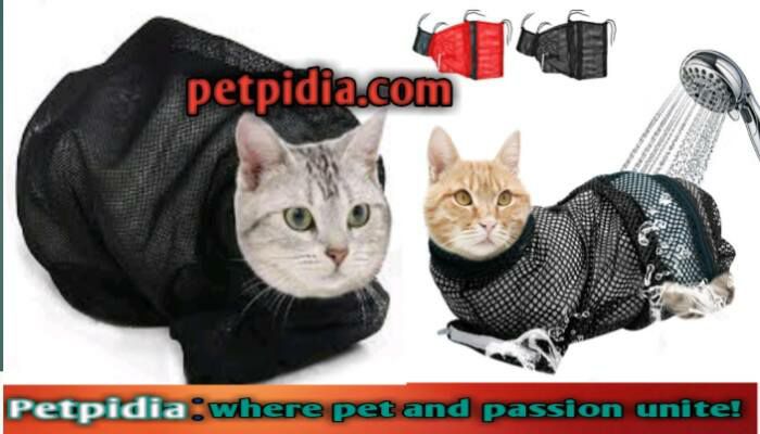 How to Use a Cat Bathing Bag for Grooming?