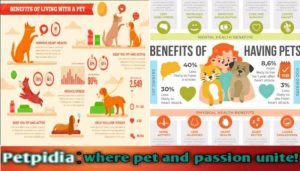 The Benefits of Owning a Pet Scholar | Best Guide