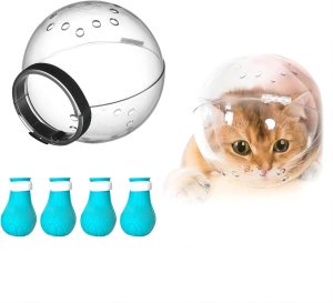 Best Cat Head Bubble for Grooming