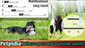 The Benefits And Usage Of 50 Foot Dog Leashes