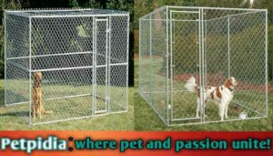 Perfect 6x10 Dog Kennel Panel With Door Heavy Duty