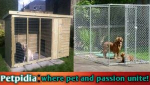 6x10 Dog Kennel Panel With Door