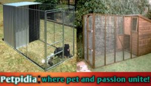 6x10 Dog Kennel Panel With Door