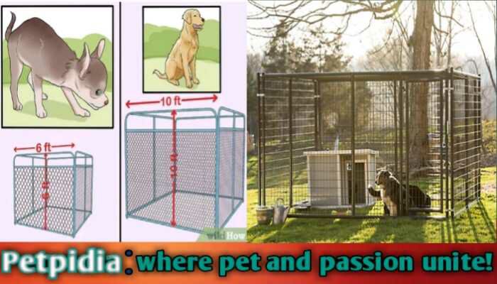 Perfect 6x10 Dog Kennel Panel With Door Heavy Duty