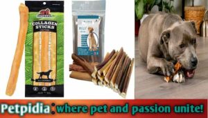 Are Collagen Sticks Safe for Dogs