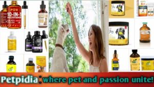 Best Liquid Vitamin C For Dogs | Where To Buy Liquid Vitamin C For Dogs?