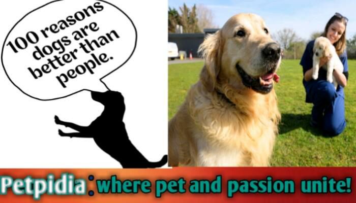 100 Reasons to Get a Dog | Why Adding A Dog To Your Life