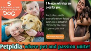 Top 100 Reasons To Get A Dog