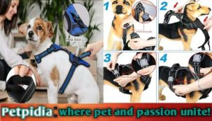 Dammei Dog Harness