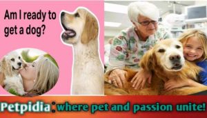Top 100 Reasons To Get A Dog In The World