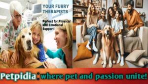 Top 100 Reasons To Get A Dog In The World