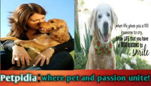 Top 100 Reasons To Get A Dog In The World