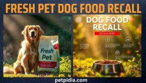 Fresh Pet Dog Food Recall