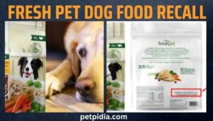 Fresh Pet Dog Food Recall