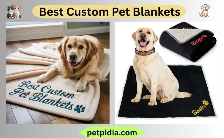 Best Custom Pet Blankets