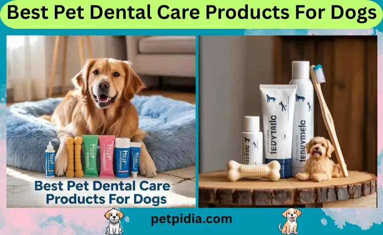 Best Pet Dental Care Products For Dogs
