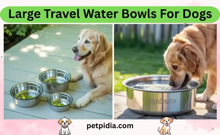 Large Travel Water Bowls For Dogs