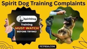 Spirit Dog Training Complaints