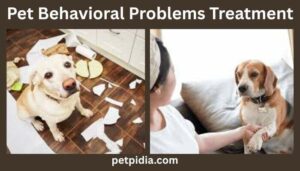 Pet Behavioral Problems Treatment