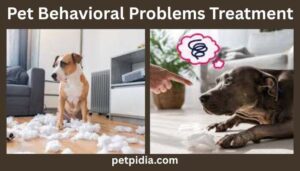 Pet Behavioral Problems Treatment