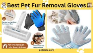 Best Pet Fur Removal Gloves