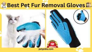 Best Pet Fur Removal Gloves