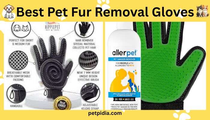 Best Pet Fur Removal Gloves