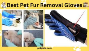 Best Pet Fur Removal Gloves