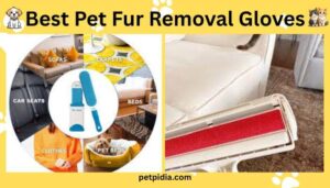 Best Pet Fur Removal Gloves