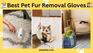 Best Pet Fur Removal Gloves
