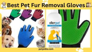 Best Pet Fur Removal Gloves