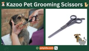Kazoo Pet Grooming Scissors