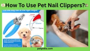 How To Use Pet Nail Clippers