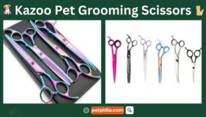 Kazoo Pet Grooming Scissors