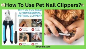 How To Use Pet Nail Clippers