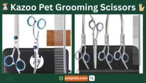 Kazoo Pet Grooming Scissors