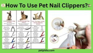 How To Use Pet Nail Clippers