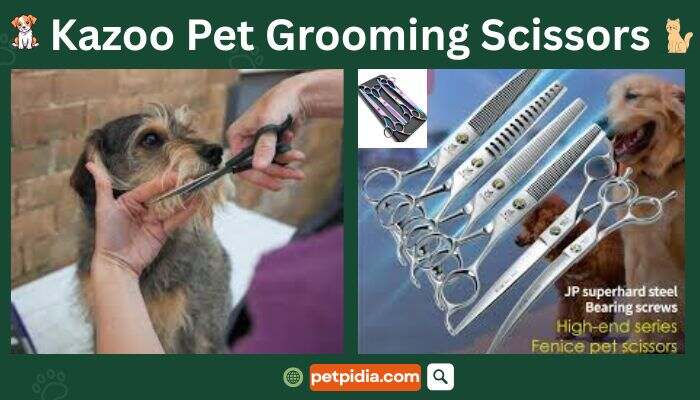 Kazoo Pet Grooming Scissors