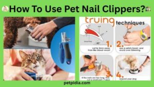 How To Use Pet Nail Clippers