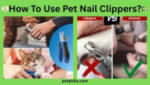 How To Use Pet Nail Clippers