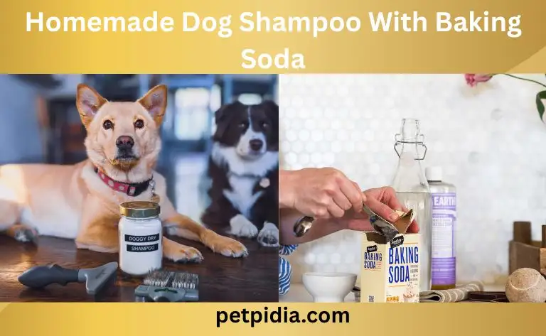 homemade dog shampoo with baking soda