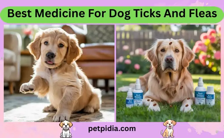 Best Medicine For Dog Ticks And Fleas