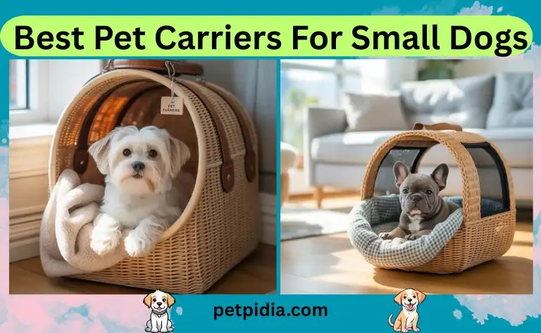 Best Pet Carriers For Small Dogs