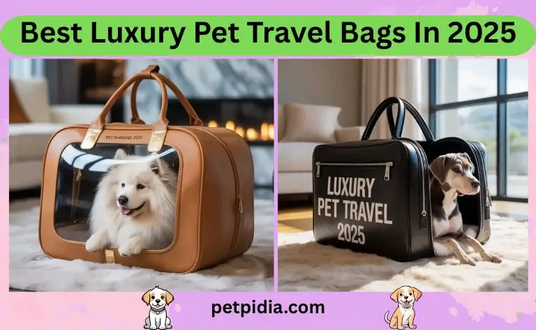 Best Luxury Pet Travel Bags