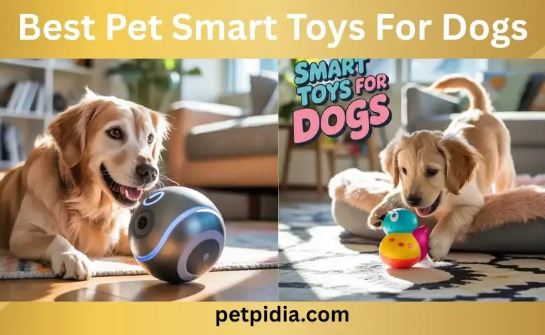 Best Pet Smart Toys For Dogs