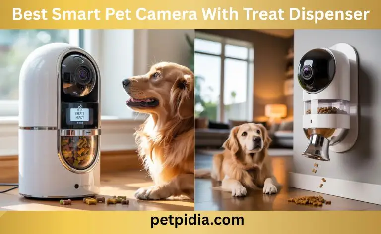 Best Smart Pet Camera With Treat Dispenser