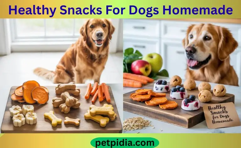 Healthy Snacks For Dogs Homemade