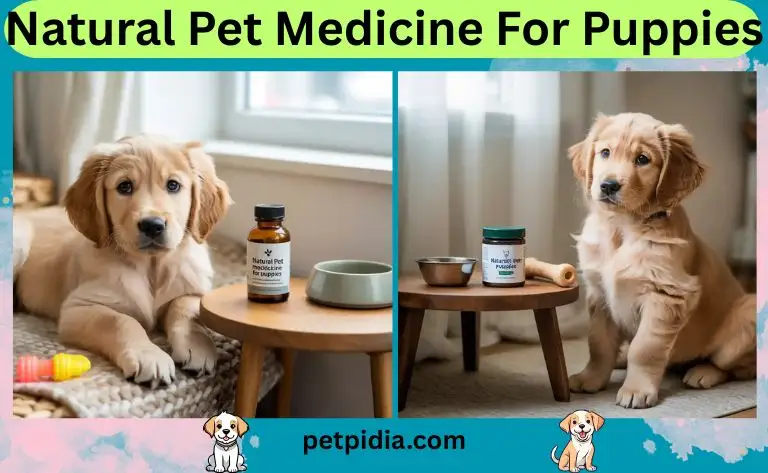 Natural Pet Medicine For Puppies