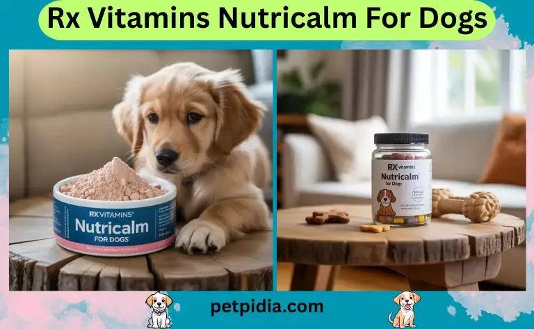 Rx Vitamins NutriCalm for Dogs