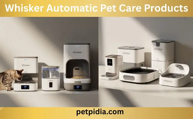 Whisker Automatic Pet Care Products Best Guide